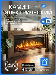 Камин электрический Лайн коричневый, очаг Премьер, звук потрескивания дров, живого пламени + пульт ДУ (Электрокамин)
